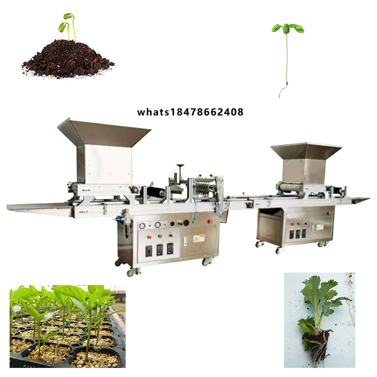 Agriculture Onion Farming - Mesin Penyemai Bibit Sayuran Otomatis Penuh