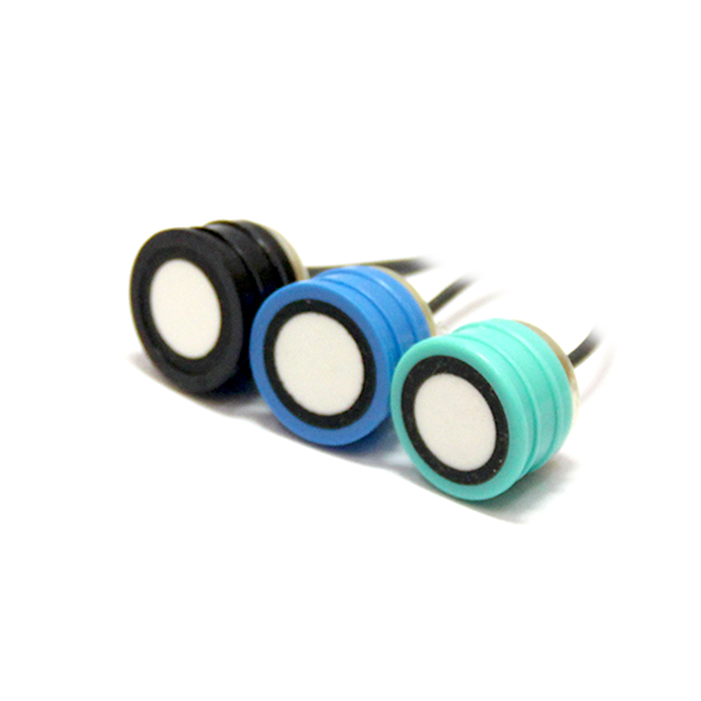 Sensor Jarak Ultrasonik 250KHZ - Farm Agriculture ulasan dan harga
