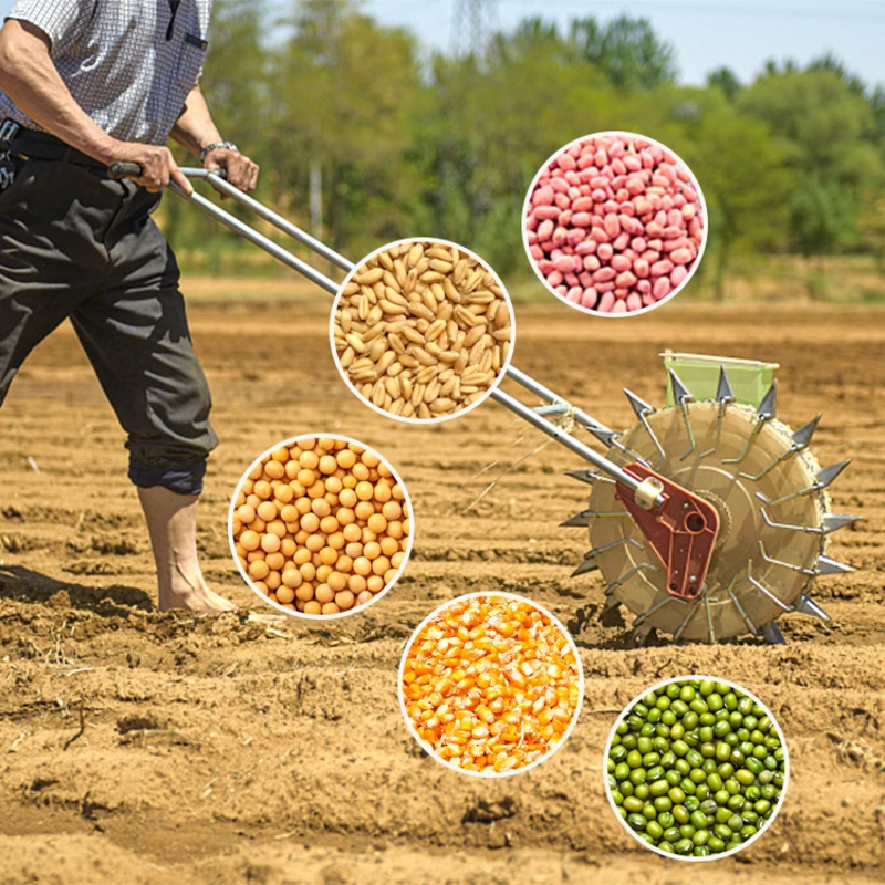 Mesin Penanam Biji Bawang Mera - Agriculture Onion Farming ulasan dan harga